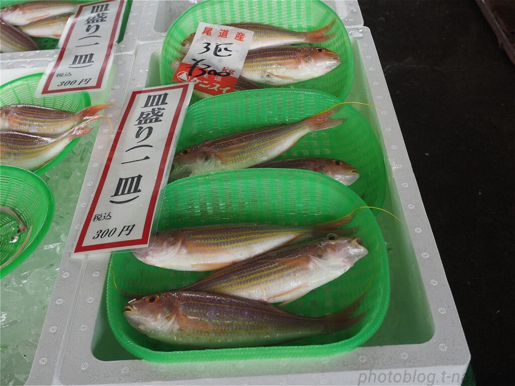 イトヨリダイ 3匹300円