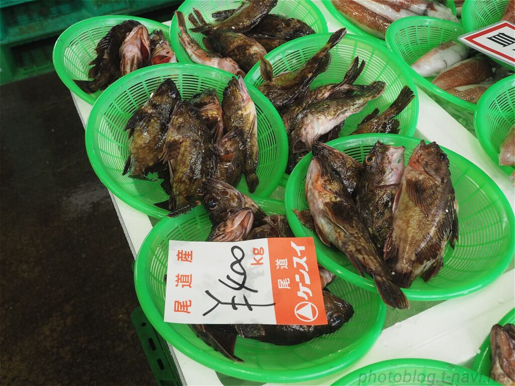 ホゴメバル ひと盛り400円から