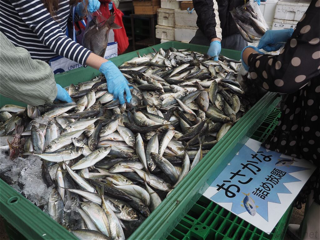 お魚詰め放題1000円