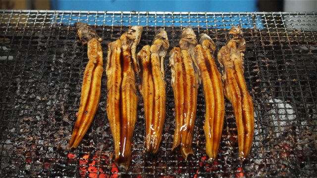 年明けの魚市場イベント – 2026年1月10日の尾道ケンスイ朝市